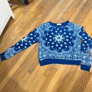 Wildfox Explorer Blue Jumper/Sweater
